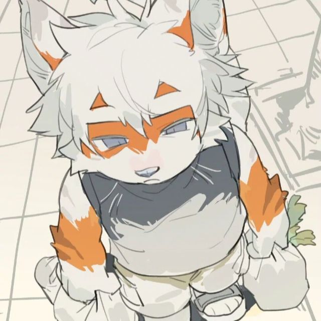 创始人、前端开发